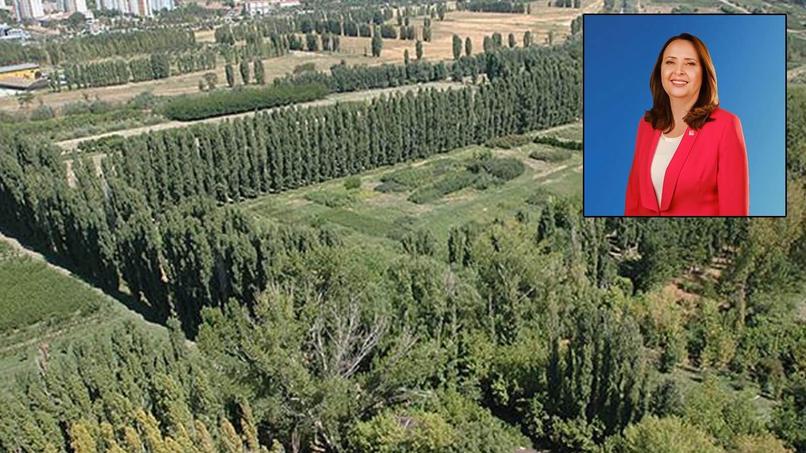 Atatürk Orman Çiftliği'ndeki 3 dönümlük alan Samsat Belediyesine 6.500 TL'ye kiralandı iddiası