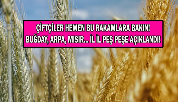 Çiftçiler Dikkat: Buğday, Arpa ve Mısır Fiyatları Yeni Haftaya Nasıl Başladı?