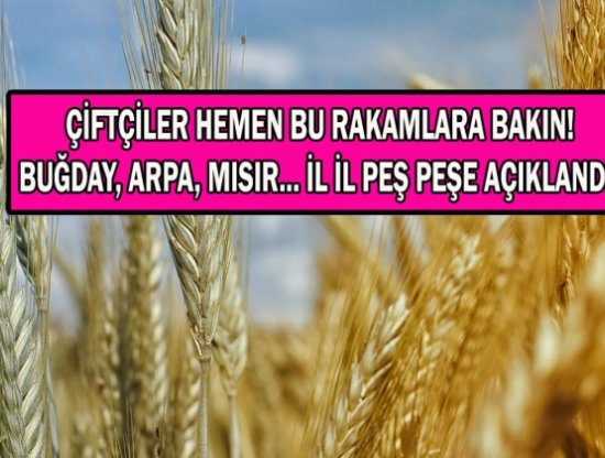 Çiftçiler Dikkat: Buğday, Arpa ve Mısır Fiyatları Yeni Haftaya Nasıl Başladı?