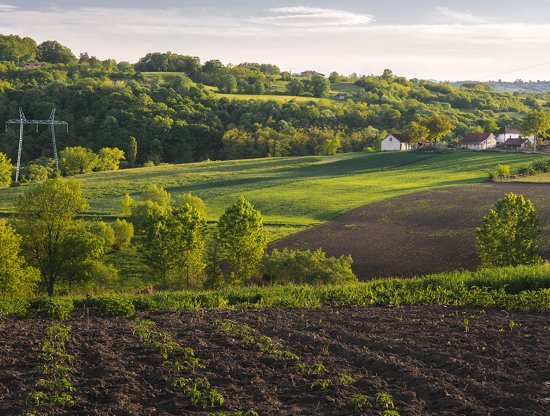 Tarım Arazi Yatırımı: Geleceğe Yatırım Yapmanın En Güvenli Yolu